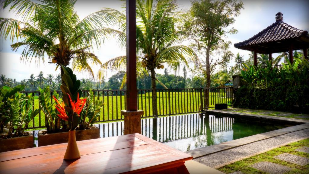 Villa D'Bisma Ubud Buitenkant foto